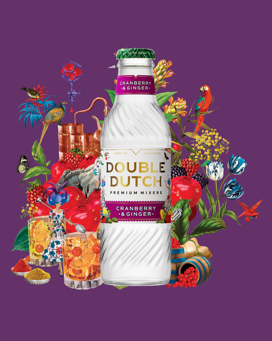 Double Dutch Cranberry and Ginger Tonic 24x20cl