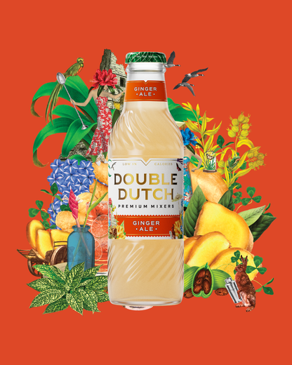 Double Dutch Ginger Ale 24x20cl
